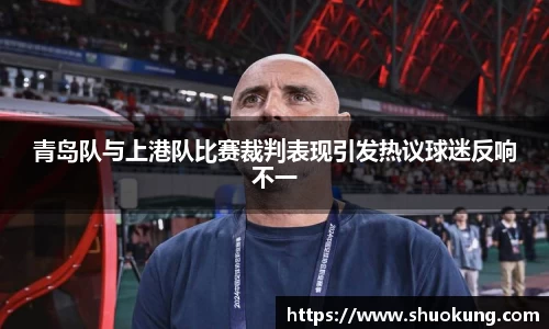 青岛队与上港队比赛裁判表现引发热议球迷反响不一